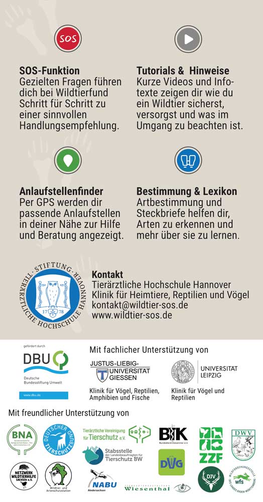 Zusätzliches Bild 2